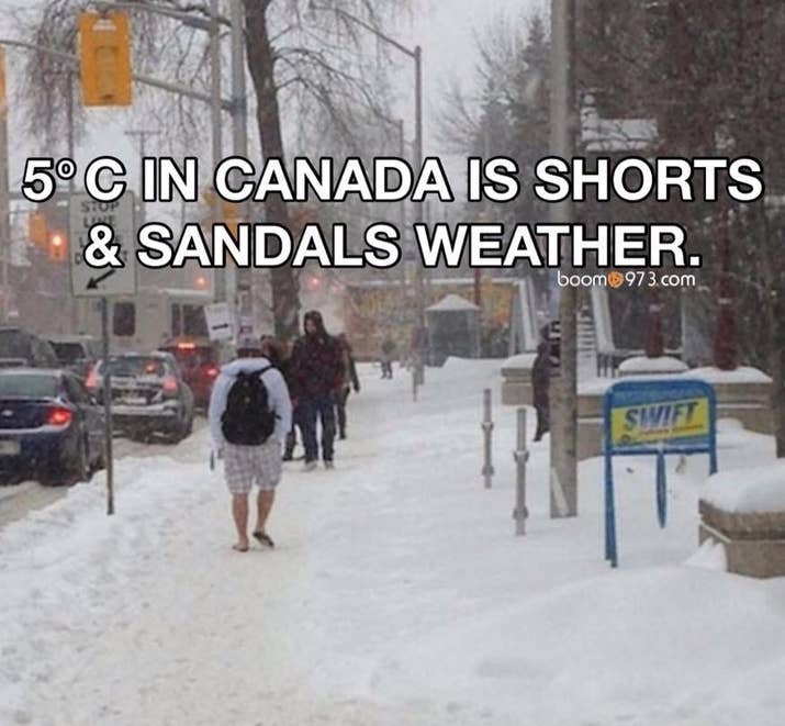 Image result for Canadians shorts in winter