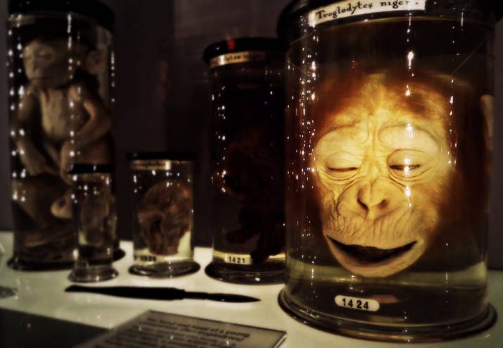 Image result for interesting museums in the world