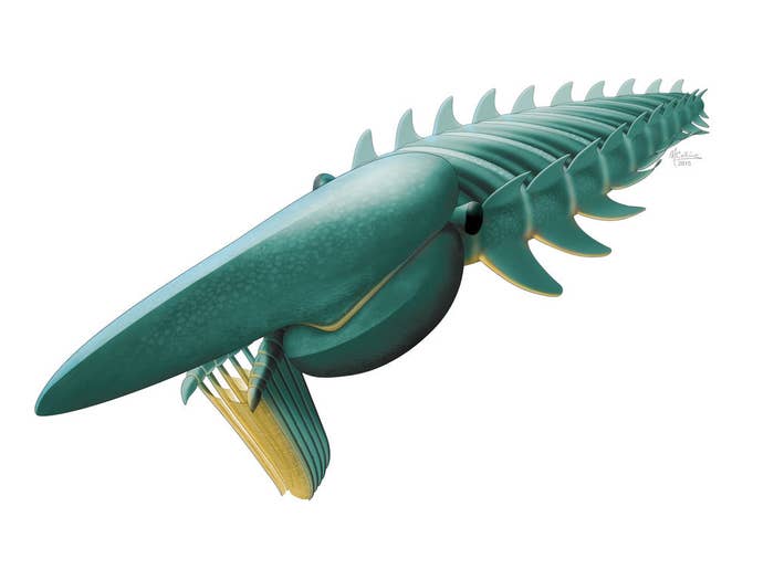 Homarids Let’s All Be Thankful This Human-Size Lobster-Thing Is Extinct
