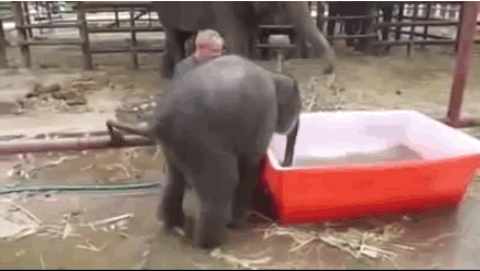 anigif_enhanced-24168-1426104486-2.gif
