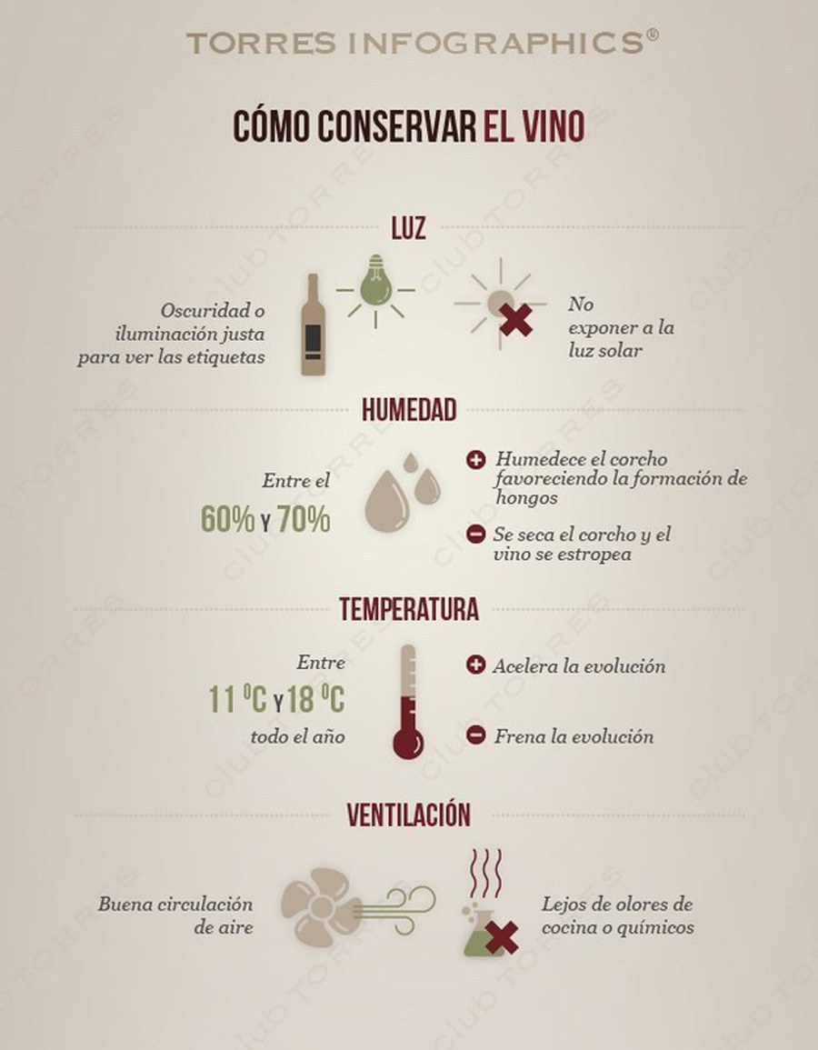 Вино перевод на английский. Инфографика вино. Виноделие инфографика. Винная инфографика. Винодельня инфографика.