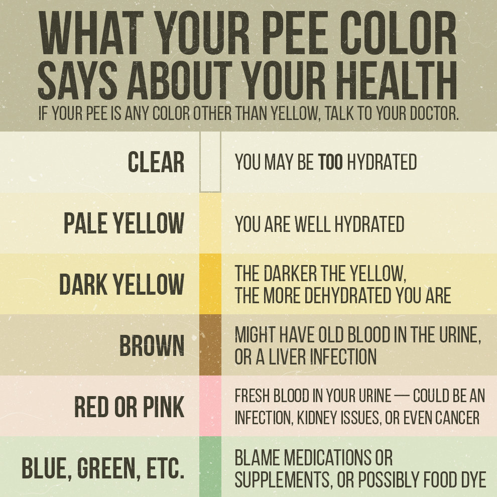 31-things-you-should-definitely-know-about-pee