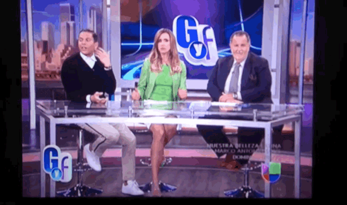 While her co-host Raúl De Molina interjected repeatedly that he thinks Michelle Obama is an attractive woman.