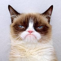 BuzzFeed profile picture for @jeanpaul