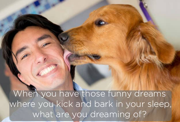 questions funny dog