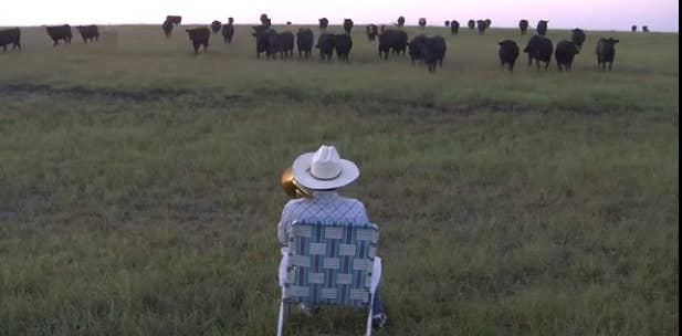 Watch This Farmer Make A Huge Pi Out Of Cows In Honor Of Pi Day