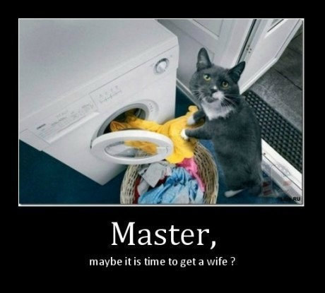 I know teaching your pet to do the housework actually looks easyer. However, few have succeeded.