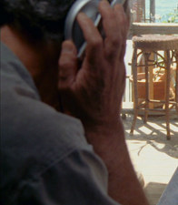Grizzly Man Tape Werner