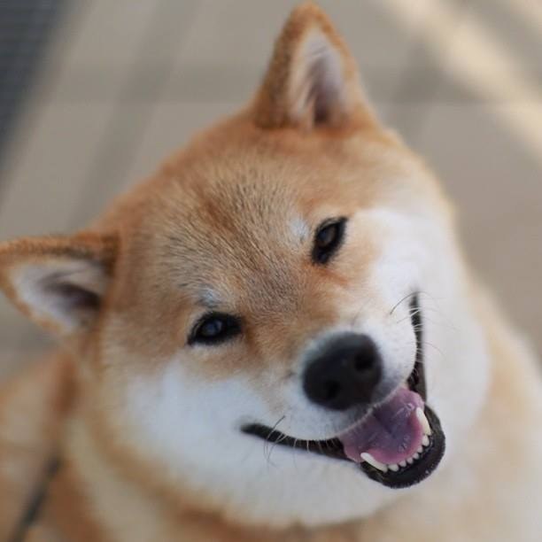 Maru