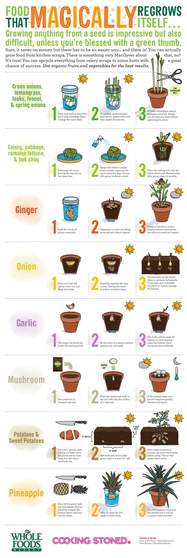 Save some money: Here's a list of food that ~magically~ regrows itself.