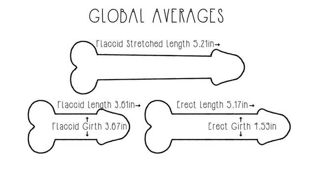 We Measured Our Employees' Penises To See If We Were Bigger Than The Rest  Of The World