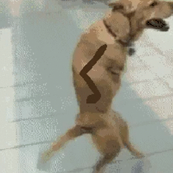 23 GIFs That'll Make You Question Your Entire Existence