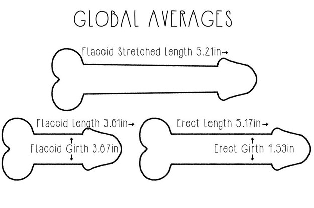 We Measured Our Employees' Penises To See If We Were Bigger Than The Rest  Of The World