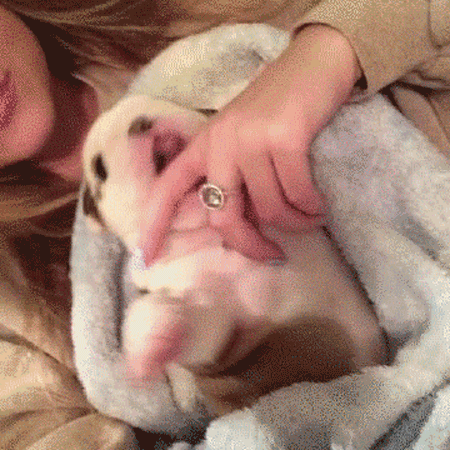 Seriously...imagine meeting your first-ever pet for the first time again? *Wipes tear*