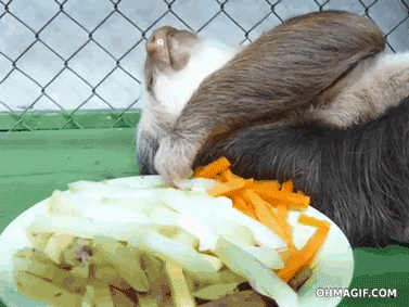 The horse-esque crunch you make when you bite into a raw carrot. It's like being at one with nature!