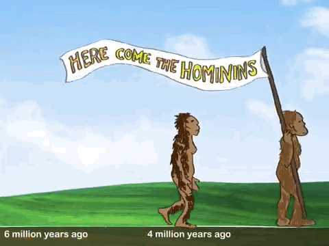 Scientists came up with the past estimate by dating fossils, but they got a more accurate date by analyzing the human genome. We're old motherfuckers. A 2012 study published in the Proceedings of the National Academy of Sciences suggests that humans and chimps split a lot earlier than scientists previously thought...around 7–8 million years ago.