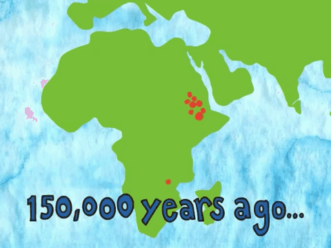 The Multiregional theory was one of the opposing theories to the Out of Africa Model, until it fell out of favor thanks to genetic evidence. According to the Multiregional theory, our early hominid ancestors left Africa 2 million years ago, and then settled in different places around the world (like Europe and Asia). The hominds chilling in Europe evolved into humans. The Asian hominids evolved into another, different group of humans. It turns out, early hominids evolved into humans IN AFRICA around 200,000 years ago then migrated to different parts of the world a mere 60,000 years ago. Basically, we're all descended from one original group of African humans.