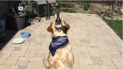 anigif_enhanced-20136-1427134217-10.gif