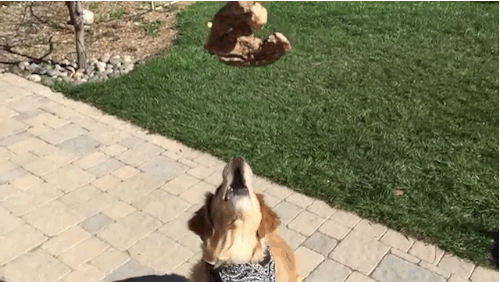 anigif_enhanced-9312-1427134108-15.gif