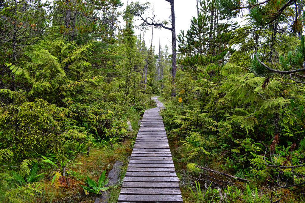 21 Totally Breathtaking Trails To Hike Before You Die