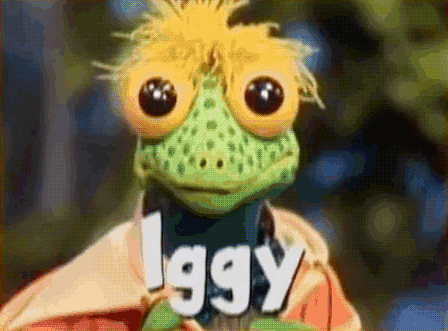 Ignatz "Iggy" Iguana retired from acting shortly after Under The Umbrella Tree wrapped up. Prior to his retirement, he auditioned for a Budweiser commercial and got a second call back, but was eventually turned down for three frogs. He later fled to Arizona to start a new life and live with his uncle Rod Iguana. Iggy played for the Arizona Cardinals for three years before leaving the team siting "personal reasons"He has since opened up a successful poetry cafe in the town of Sedona Arizona. It was there that he met his current life-partner Jim. The two of them can be now be found on weekends preforming in their iguana duo called "The Iggys".