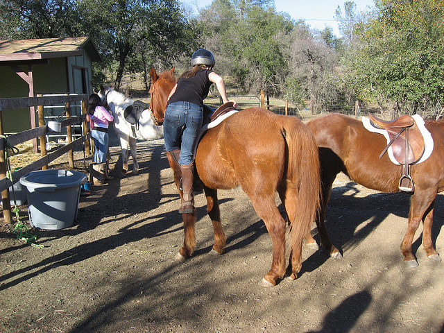 "What do you mean you can't come out because you're going horse riding? LOLZ."