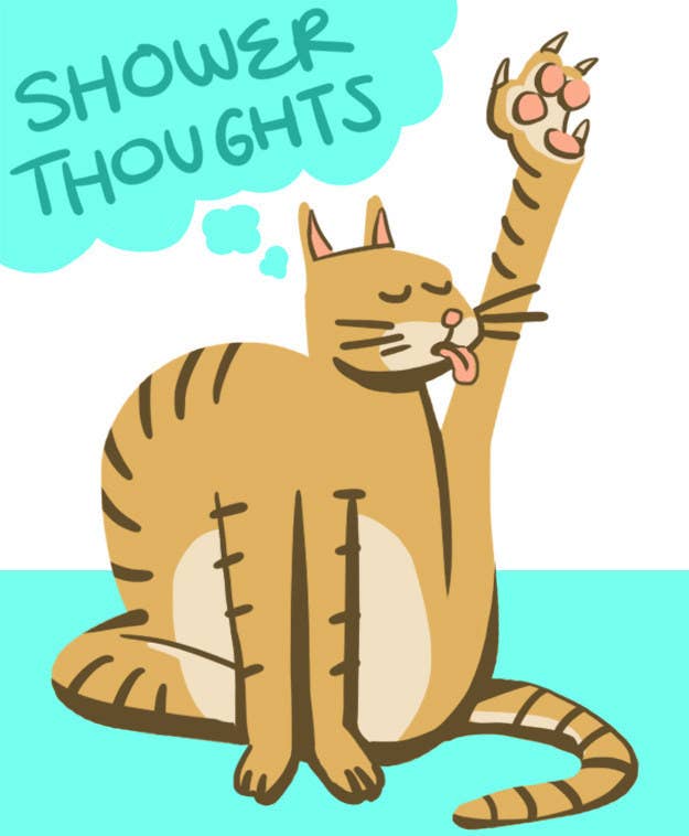 13 Profound Shower Thoughts All Cats Have