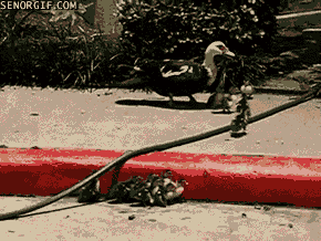 ^And you wouldn't think twice about doing something like this.