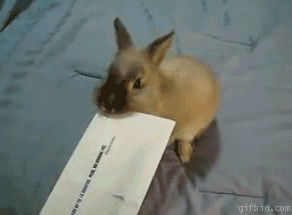 Even though they'd have to physically prise your laptop out of your hands, you'll always admit that nothing beats receiving a handwritten letter through the post.