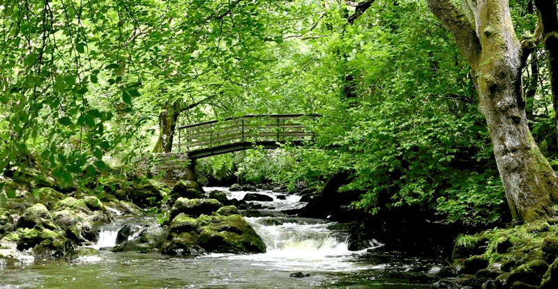 Being outdoors can offer a much-needed break from the mayhem of everyday life. Research indicates that spending time outside may also be associated with increased vitality. So whether it's gardening, taking pictures, or just walking around, get out there and smell the roses (really!).Submitted by Tina Bowen, Facebook
