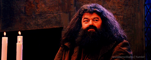 Rubeus Hagrid