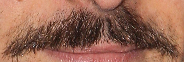 Can You Guess The Celebrity By His Mustache