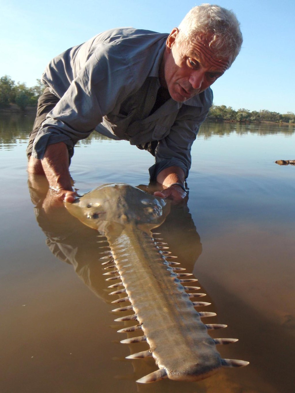 When faced with a fish that looks like the favorite tool/pet of Satan himself, Mr. Wade ALMOST looks surprised.