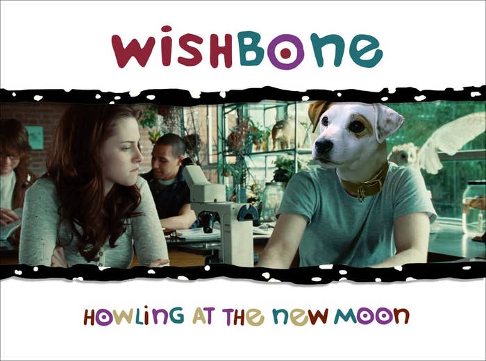 Get Wallpaper If Wishbone Were Still On Tv Today HD