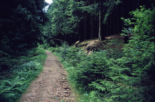 Kirkeler Felsenpfad