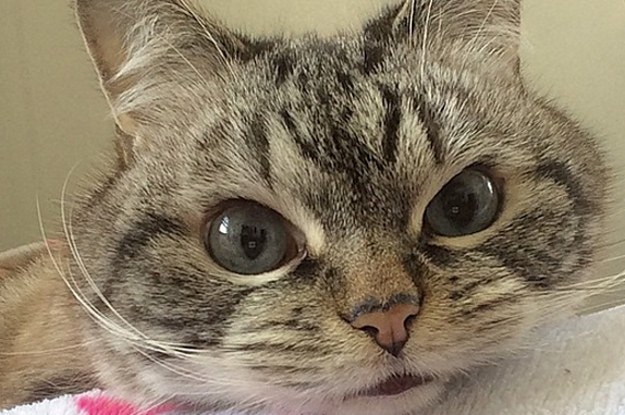 Buzzfeed Archive For March 3 15