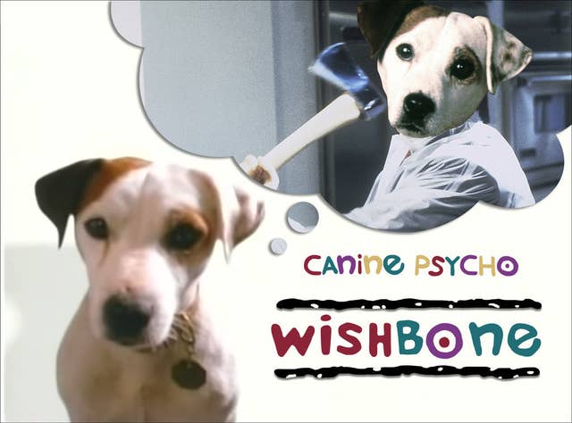 Download If Wishbone Were Still On Tv Today HD Wallpaper If Wishbone Were Still On Tv Today Desktop Wallpaper