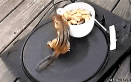 Nibble on some nuts or another high-protein snack to give you a little boost.