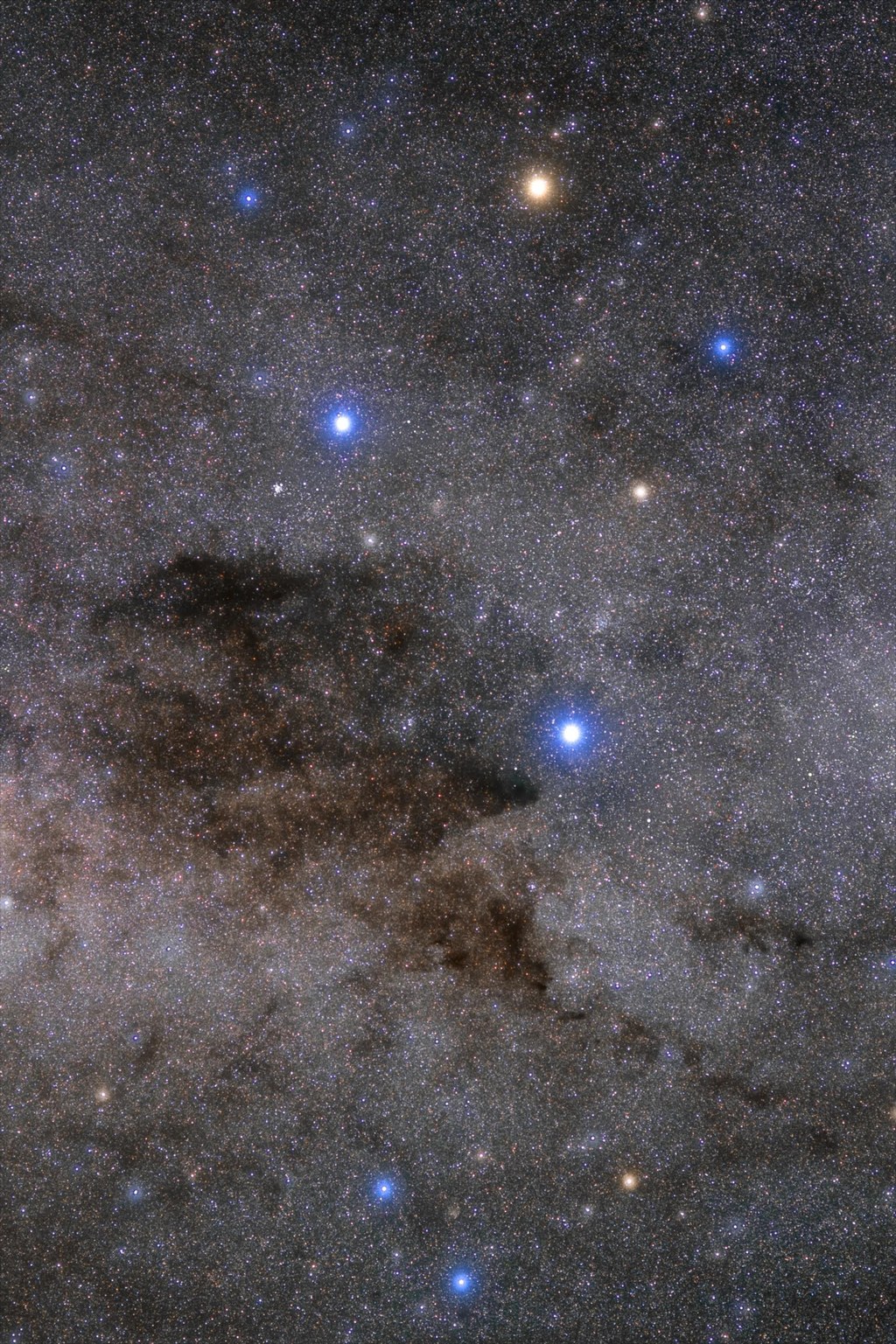 The Southern Cross and the Coal Sack nebula dust cloud.