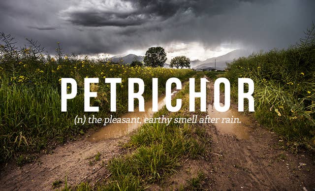 32 Of The Most Beautiful Words In The English Language