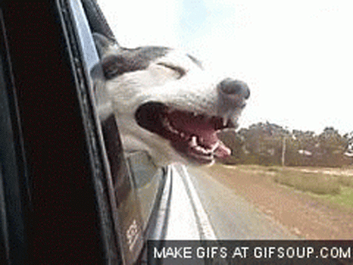 Traffic suddenly becomes less enraging when you're in the backseat.