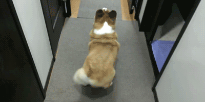 Everybody wants buns, hun.