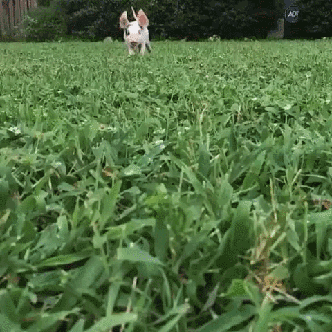 Aw.