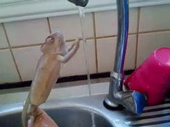 Run (noise) interference by turning on the faucet. Oldest trick in the book.