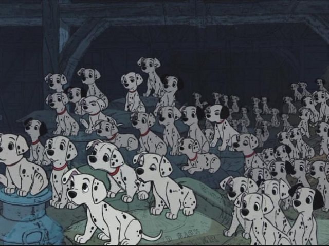 Who doesn't want to take all of these puppies home?