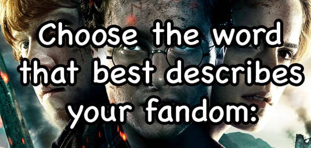 Find Your Favorite Fandom