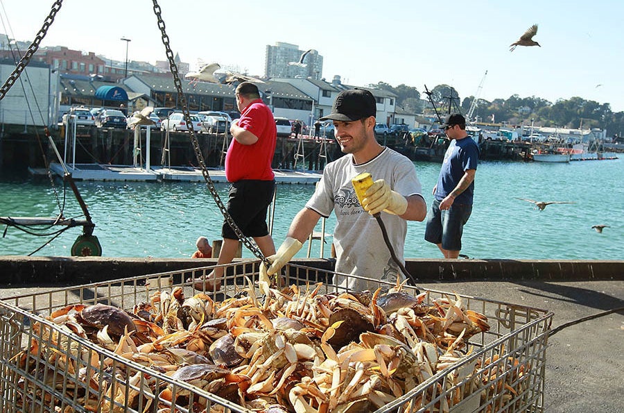 Fresh crab in San Francisco.