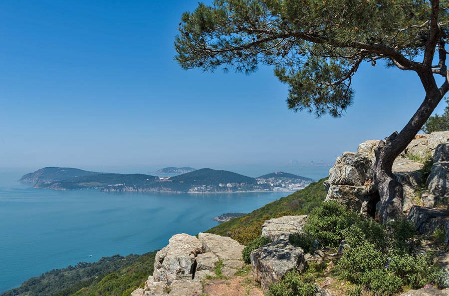 The view from Büyükada, the largest of the nine Prince&#x27;s Islands.