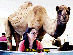 No, Geico camel, it is not hump day. Everyday can't be hump day, we've talked about this.