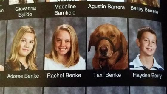 Don't forget to have all your buds sign your yearbook. You need the memories!